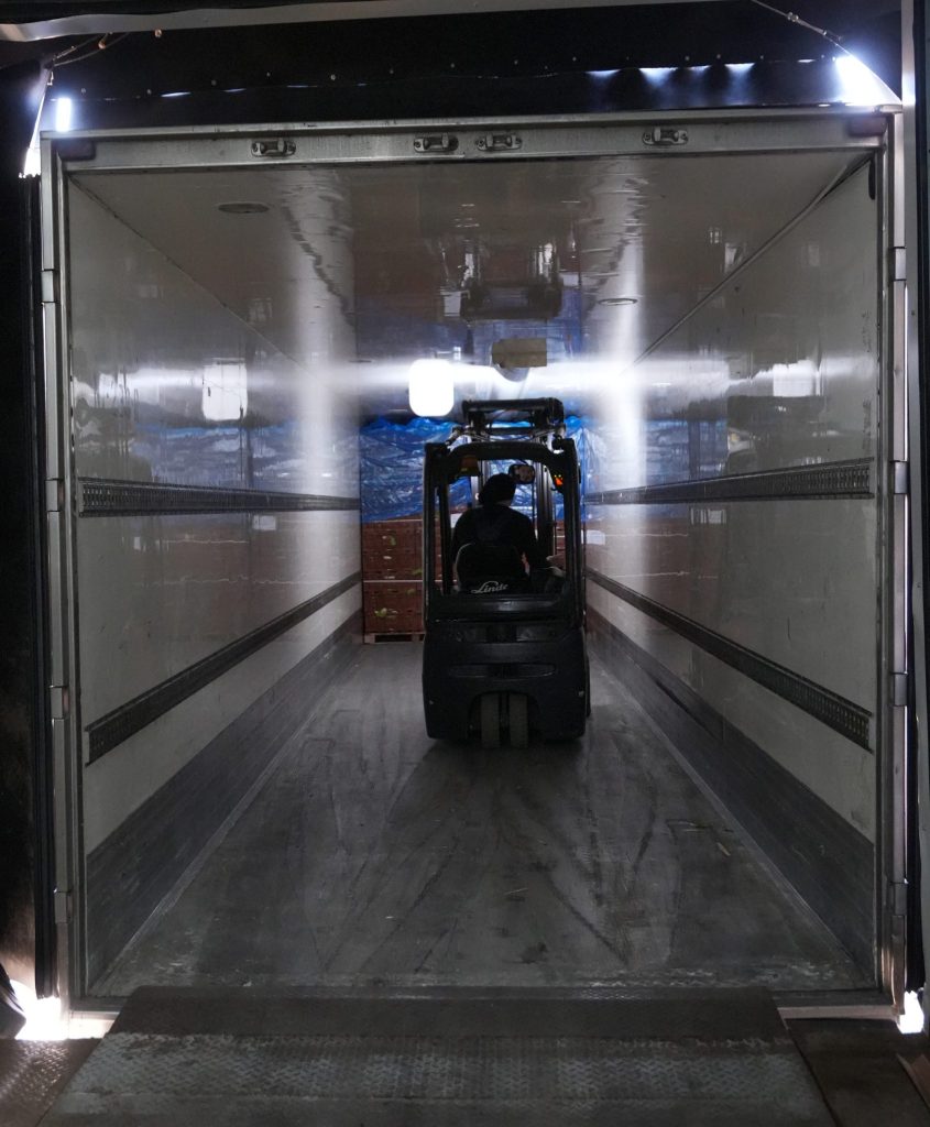 FrioPort - Manipulación de productos y mercancías portuarias.